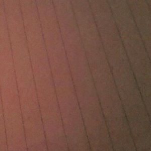 Meet your Posher, Chrissy